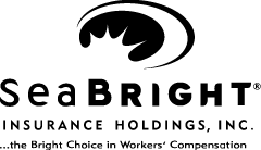 SEABRIGHT INSURANCE HOLDINGS INC LOGO